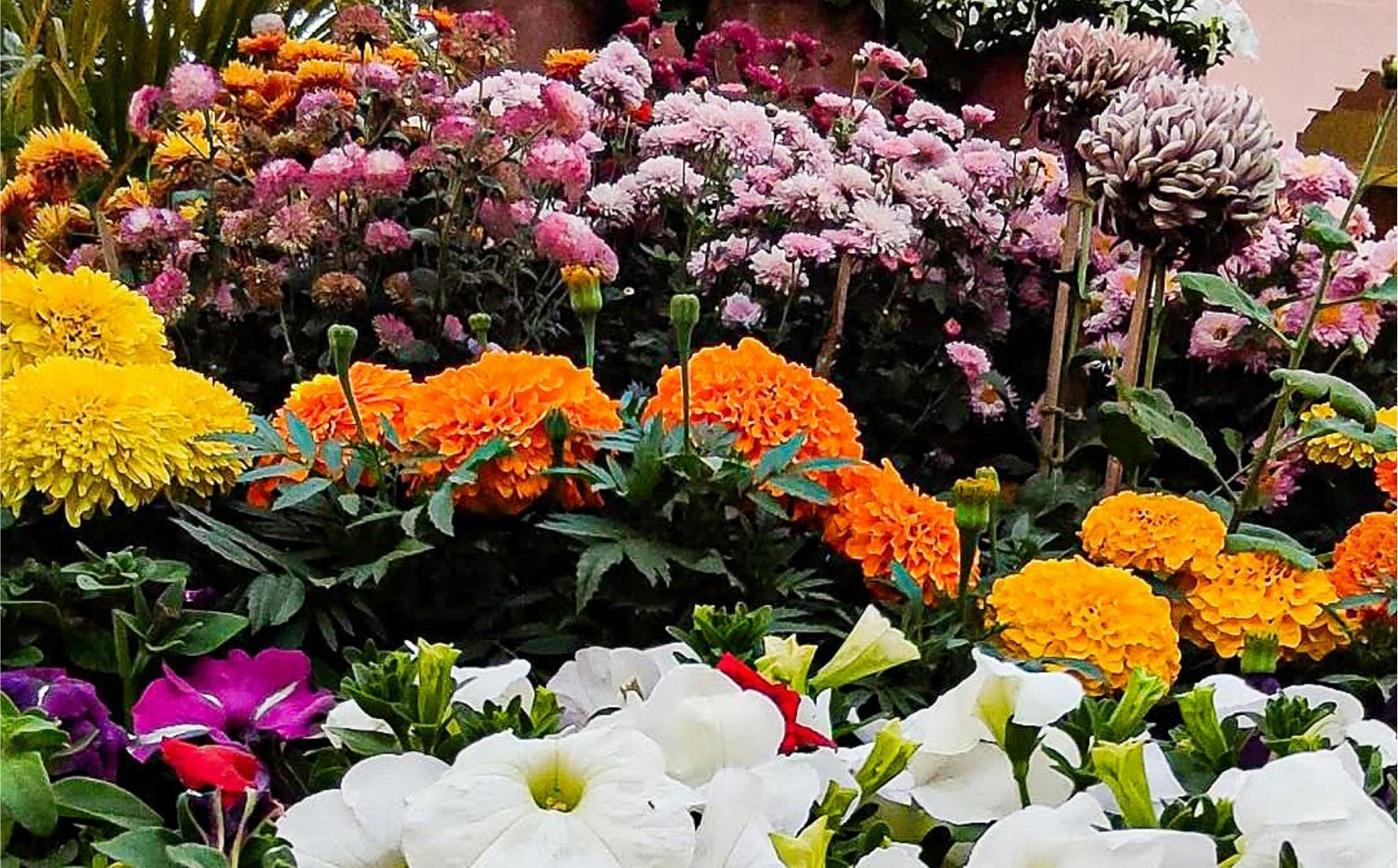 AirCare Landing Page-02